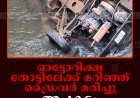 ഓട്ടോറിക്ഷ തോട്ടിലേക്ക് മറിഞ്ഞ് ഡ്രൈവര്‍ മരിച്ചു: അപകടം ഇടുക്കി ഉപ്പുതോട്ടില്‍