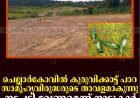 ചെല്ലാര്‍കോവില്‍ കുരുവിക്കാട്ട് പാറ സാമൂഹ്യവിരുദ്ധരുടെ താവളമാകുന്നു: നടപടി വേണമെന്ന് നാട്ടുകാര്‍