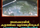 അണക്കരയില്‍ കുളത്തിലെ വളര്‍ത്തുമീനുകള്‍ കൂട്ടത്തോടെ ചത്തനിലയില്‍
