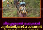 നീലപ്പട്ടുടുത്ത് ചൊക്രമുടി: കുറിഞ്ഞിക്കാഴ്ച കാണാന്‍ സഞ്ചാരികളുടെ ഒഴുക്ക്