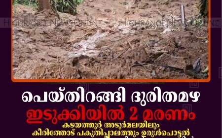 പെയ്തിറങ്ങി ദുരിതമഴ: ഇടുക്കിയില്‍ 2 മരണം: കടയത്തൂര്‍ അടൂര്‍മലയിലും കീരിത്തോട് പകുതിപ്പാലത്തും ഉരുള്‍പൊട്ടല്‍: തൊടുപുഴ, മുട്ടം, വണ്ടിപ്പെരിയാര്‍ മേഖലകളില്‍ വീടുകളില്‍ വെള്ളം കയറി: ദേശീയ, സംസ്ഥാനപാതകളില്‍ ഗതാഗതം തടസപ്പെട്ടു: നിരവധി വീടുകള്‍ തകര്‍ന്നു