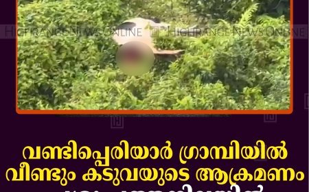 വണ്ടിപ്പെരിയാര്‍ ഗ്രാമ്പിയില്‍ വീണ്ടും കടുവയുടെ ആക്രമണം: പശു ചത്തനിലയില്‍