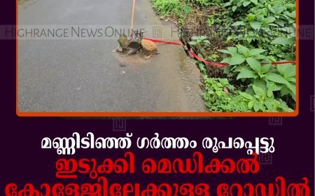മണ്ണിടിഞ്ഞ് ഗര്‍ത്തം രൂപപ്പെട്ടു: ഇടുക്കി മെഡിക്കല്‍ കോളേജിലേക്കുള്ള റോഡില്‍ അപകടഭീഷണി