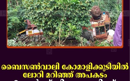 ബൈസണ്‍വാലി കോമാളിക്കുടിയില്‍ ലോറി മറിഞ്ഞ് അപകടം: 3 പേര്‍ക്ക് നിസാര പരിക്ക് 