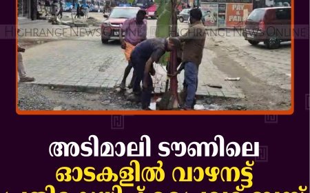അടിമാലി ടൗണിലെ ഓടകളില്‍ വാഴനട്ട് പ്രതിഷേധിച്ച് പ്രൈവറ്റ് ബസ് ജീവനക്കാര്‍ 