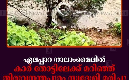 ഏലപ്പാറ നാലാംമൈലില്‍ കാര്‍ തോട്ടിലേക്ക് മറിഞ്ഞ് തിരുവനന്തപുരം സ്വദേശി മരിച്ചു: 3 പേര്‍ക്ക് പരിക്ക്