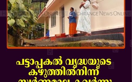 പട്ടാപ്പകല്‍ വൃദ്ധയുടെ കഴുത്തില്‍നിന്ന് സ്വര്‍ണമാല കവര്‍ന്നു: സംഭവം അണക്കര ചെല്ലാര്‍കോവിലില്‍
