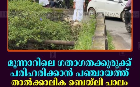 മൂന്നാറിലെ ഗതാഗതക്കുരുക്ക് പരിഹരിക്കാന്‍ പഞ്ചായത്ത്: താല്‍ക്കാലിക ബെയ്‌ലി പാലം അനുവദിക്കാന്‍ മുഖ്യമന്ത്രിക്ക് കത്ത് നല്‍കും 