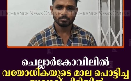 ചെല്ലാര്‍കോവിലില്‍ വയോധികയുടെ മാല പൊട്ടിച്ച യുവാവ് പിടിയില്‍ 