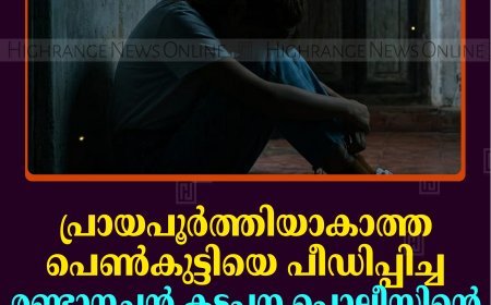 പ്രായപൂര്‍ത്തിയാകാത്ത പെണ്‍കുട്ടിയെ പീഡിപ്പിച്ച രണ്ടാനച്ഛന്‍ കട്ടപ്പന പൊലീസിന്റെ പിടിയില്‍