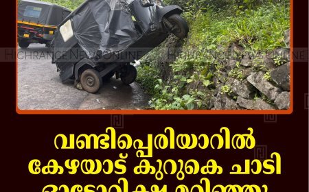 വണ്ടിപ്പെരിയാറില്‍  കേഴയാട് കുറുകെ ചാടി ഓട്ടോറിക്ഷ മറിഞ്ഞു: ഡ്രൈവര്‍ക്ക് പരിക്ക്