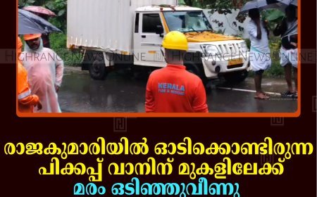 രാജകുമാരിയില്‍ ഓടിക്കൊണ്ടിരുന്ന പിക്കപ്പ് വാനിന് മുകളിലേക്ക് മരം ഒടിഞ്ഞുവീണു: യാത്രക്കാര്‍ നിസാര പരിക്കുകളോടെ രക്ഷപ്പെട്ടു