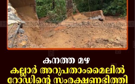 കനത്ത മഴ: കല്ലാര്‍ അറുപതാംമൈലില്‍ റോഡിന്റെ സംരക്ഷണഭിത്തി ഇടിഞ്ഞു