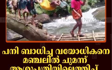 പനി ബാധിച്ച വയോധികനെ മഞ്ചലില്‍ ചുമന്ന് ആശുപത്രിയിലെത്തിച്ച് ഇടമലക്കുടിക്കാര്‍ 