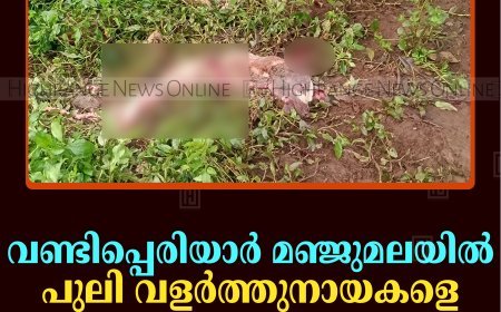 വണ്ടിപ്പെരിയാര്‍ മഞ്ജുമലയില്‍ പുലി വളര്‍ത്തുനായകളെ കൊന്നു  