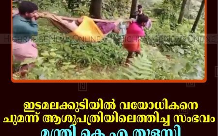 ഇടമലക്കുടിയില്‍ വയോധികനെ ചുമന്ന് ആശുപത്രിയിലെത്തിച്ച സംഭവം: മന്ത്രി കെ എ തുളസി റിപ്പോര്‍ട്ട് ആവിശ്യപ്പെട്ടു