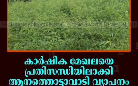 കാര്‍ഷിക മേഖലയെ പ്രതിസന്ധിയിലാക്കി ആനത്തൊട്ടാവാടി വ്യാപനം: അടിയന്തര നടപടി വേണമെന്ന് കര്‍ഷകര്‍ 