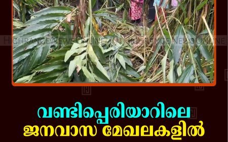 വണ്ടിപ്പെരിയാറിലെ ജനവാസ മേഖലകളില്‍ കാട്ടാനശല്യം രൂക്ഷം 