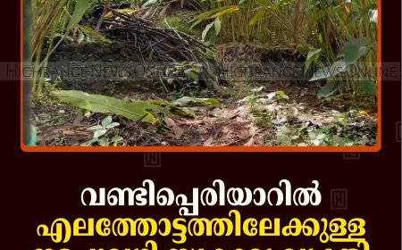 വണ്ടിപ്പെരിയാറില്‍ എലത്തോട്ടത്തിലേക്കുള്ള നടപ്പുവഴി സ്വകാര്യ വ്യക്തി അടച്ചതായി പരാതി    