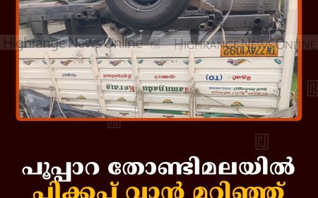 പൂപ്പാറ തോണ്ടിമലയില്‍ പിക്കപ്പ് വാന്‍ മറിഞ്ഞ് ഒരാള്‍ക്ക് പരിക്ക് 