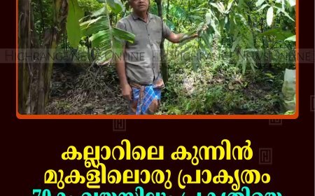 കല്ലാറിലെ കുന്നിന്‍ മുകളിലൊരു പ്രാകൃതം: 70-ാം വയസിലും പ്രകൃതിയെ സ്‌നേഹിക്കുന്ന സുധാകരന്‍ നായര്‍ 