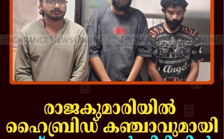 രാജകുമാരിയില്‍ ഹൈബ്രിഡ് കഞ്ചാവുമായി മൂന്ന് യുവാക്കള്‍ പിടിയില്‍