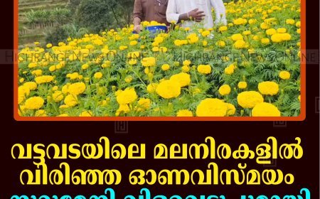 വട്ടവടയിലെ മലനിരകളില്‍ വിരിഞ്ഞ ഓണവിസ്മയം: നൂറുമേനി വിളവെടുപ്പുമായി മുകേഷ്