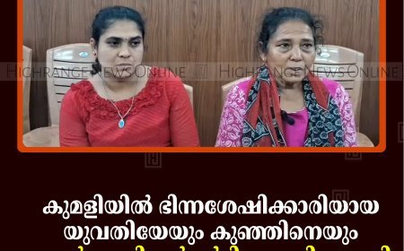 കുമളിയില്‍ ഭിന്നശേഷിക്കാരിയായ യുവതിയേയും കുഞ്ഞിനെയും അയല്‍വാസികള്‍ മര്‍ദിച്ചതായി പരാതി   