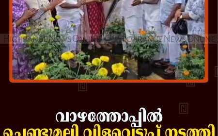 വാഴത്തോപ്പില്‍ ചെണ്ടുമല്ലി വിളവെടുപ്പ് നടത്തി 