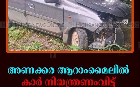 അണക്കര ആറാംമൈലില്‍ കാര്‍ നിയന്ത്രണംവിട്ട് കലുങ്കിലിടിച്ച് അപകടം