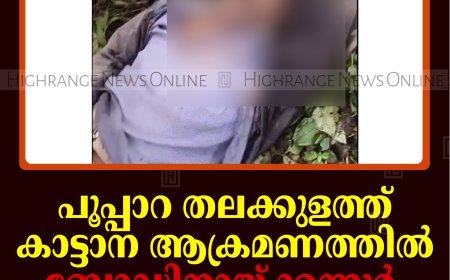 പൂപ്പാറ തലക്കുളത്ത് കാട്ടാന ആക്രമണത്തില്‍ ബോഡിനായ്ക്കന്നൂര്‍ സ്വദേശി മരിച്ചു   