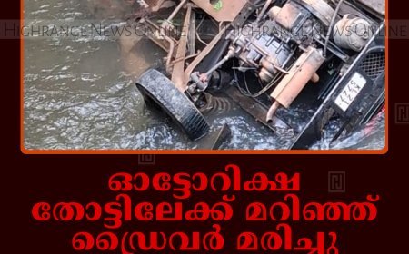 ഓട്ടോറിക്ഷ തോട്ടിലേക്ക് മറിഞ്ഞ് ഡ്രൈവര്‍ മരിച്ചു: അപകടം ഇടുക്കി ഉപ്പുതോട്ടില്‍