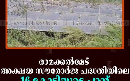രാമക്കല്‍മേട് അക്ഷയ സൗരോര്‍ജ പദ്ധതിയിലെ 16 കോടിയുടെ പ്ലാന്റ് കാടുകയറി നശിക്കുന്നു