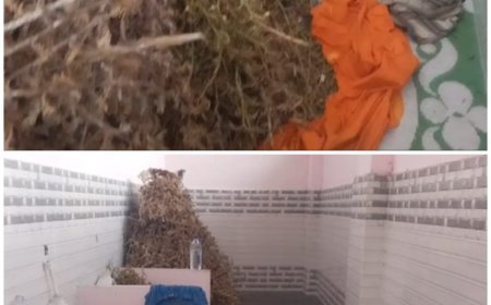 പുളിയന്‍മലയിലെ വിശ്രമകേന്ദ്രത്തിൽ വൻതോതിൽ ഏലത്തിന്റെ ശരം കണ്ടെത്തി