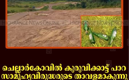 ചെല്ലാര്‍കോവില്‍ കുരുവിക്കാട്ട് പാറ സാമൂഹ്യവിരുദ്ധരുടെ താവളമാകുന്നു: നടപടി വേണമെന്ന് നാട്ടുകാര്‍