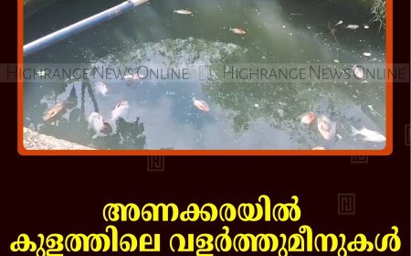അണക്കരയില്‍ കുളത്തിലെ വളര്‍ത്തുമീനുകള്‍ കൂട്ടത്തോടെ ചത്തനിലയില്‍