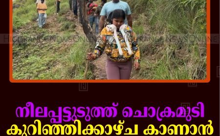 നീലപ്പട്ടുടുത്ത് ചൊക്രമുടി: കുറിഞ്ഞിക്കാഴ്ച കാണാന്‍ സഞ്ചാരികളുടെ ഒഴുക്ക്