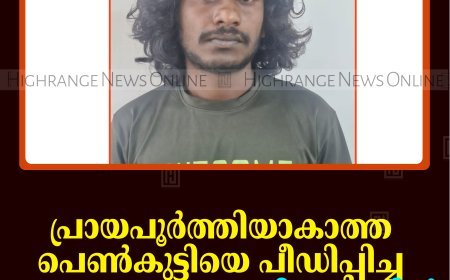 പ്രായപൂര്‍ത്തിയാകാത്ത പെണ്‍കുട്ടിയെ പീഡിപ്പിച്ച അണക്കര സ്വദേശി അറസ്റ്റില്‍