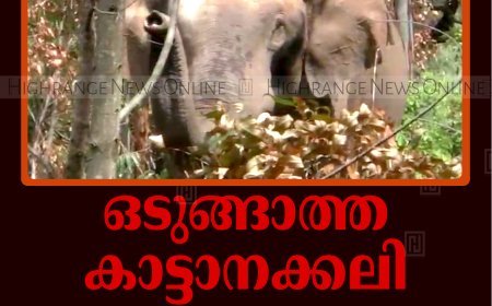ഒടുങ്ങാത്ത കാട്ടാനക്കലി: ഇടുക്കി ജില്ലയില്‍ രണ്ടരവര്‍ഷത്തിനിടെ കൊല്ലപ്പെട്ടത് 13 പേര്‍