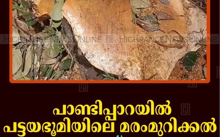 പാണ്ടിപ്പാറയില്‍ പട്ടയഭൂമിയിലെ മരംമുറിക്കല്‍ വനംവകുപ്പ് തടഞ്ഞു