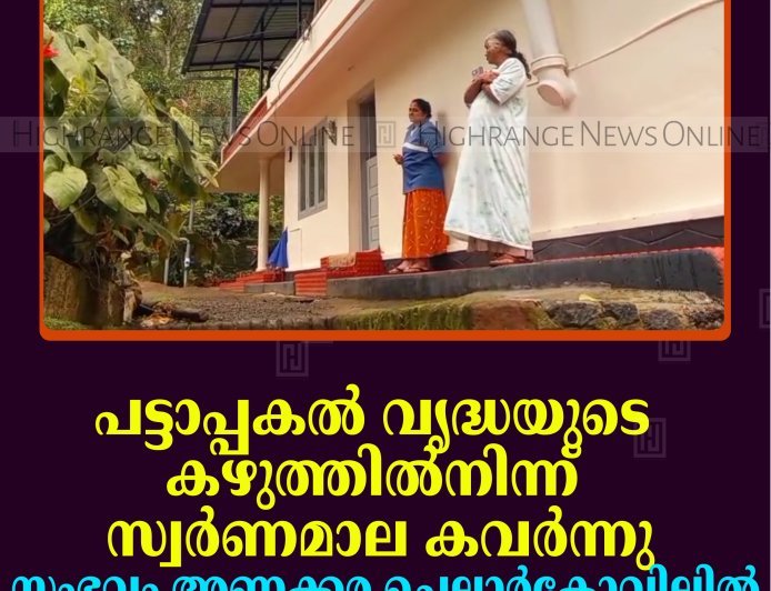 പട്ടാപ്പകല്‍ വൃദ്ധയുടെ കഴുത്തില്‍നിന്ന് സ്വര്‍ണമാല കവര്‍ന്നു: സംഭവം അണക്കര ചെല്ലാര്‍കോവിലില്‍