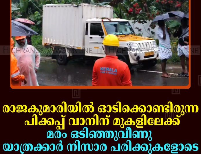 രാജകുമാരിയില്‍ ഓടിക്കൊണ്ടിരുന്ന പിക്കപ്പ് വാനിന് മുകളിലേക്ക് മരം ഒടിഞ്ഞുവീണു: യാത്രക്കാര്‍ നിസാര പരിക്കുകളോടെ രക്ഷപ്പെട്ടു