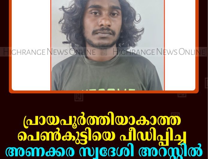 പ്രായപൂര്‍ത്തിയാകാത്ത പെണ്‍കുട്ടിയെ പീഡിപ്പിച്ച അണക്കര സ്വദേശി അറസ്റ്റില്‍