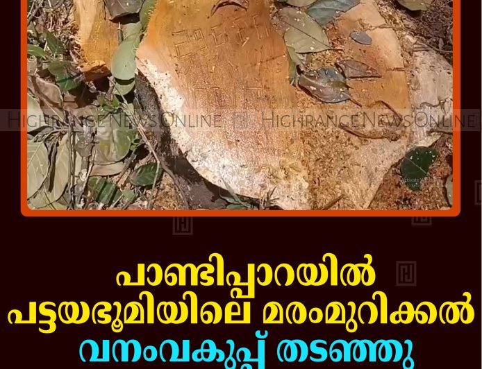 പാണ്ടിപ്പാറയില്‍ പട്ടയഭൂമിയിലെ മരംമുറിക്കല്‍ വനംവകുപ്പ് തടഞ്ഞു