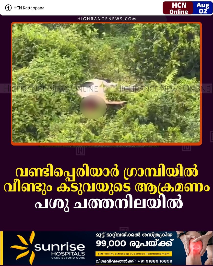 വണ്ടിപ്പെരിയാര്‍ ഗ്രാമ്പിയില്‍ വീണ്ടും കടുവയുടെ ആക്രമണം: പശു ചത്തനിലയില്‍