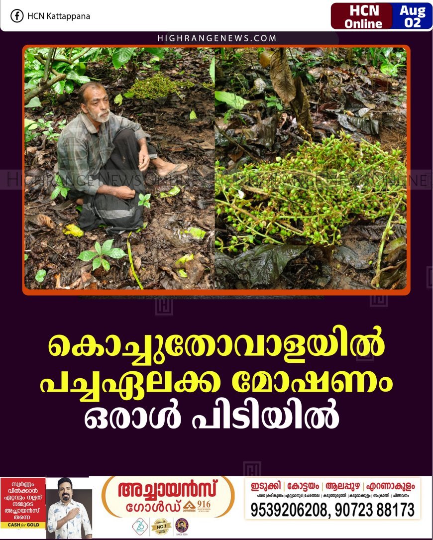 കൊച്ചുതോവാളയില്‍ പച്ചഏലക്ക മോഷണം: ഒരാള്‍ പിടിയില്‍