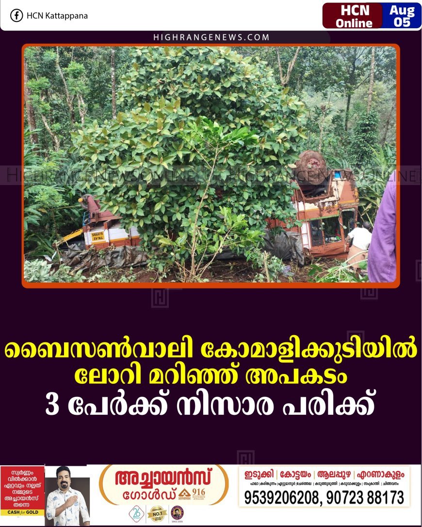 ബൈസണ്‍വാലി കോമാളിക്കുടിയില്‍ ലോറി മറിഞ്ഞ് അപകടം: 3 പേര്‍ക്ക് നിസാര പരിക്ക് 