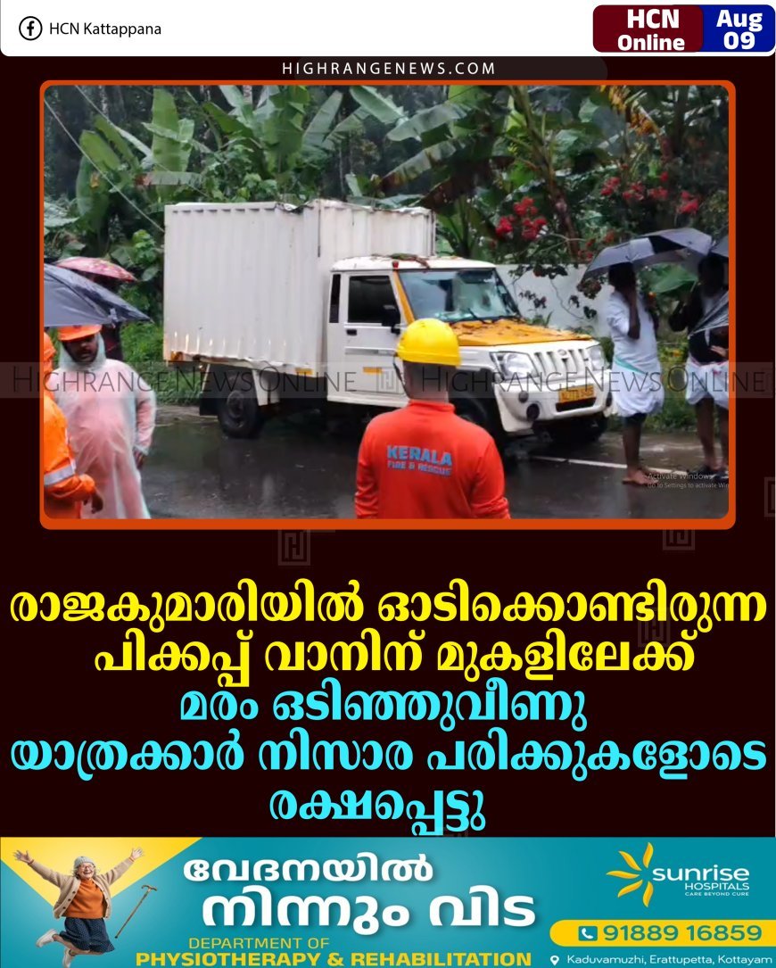 രാജകുമാരിയില്‍ ഓടിക്കൊണ്ടിരുന്ന പിക്കപ്പ് വാനിന് മുകളിലേക്ക് മരം ഒടിഞ്ഞുവീണു: യാത്രക്കാര്‍ നിസാര പരിക്കുകളോടെ രക്ഷപ്പെട്ടു