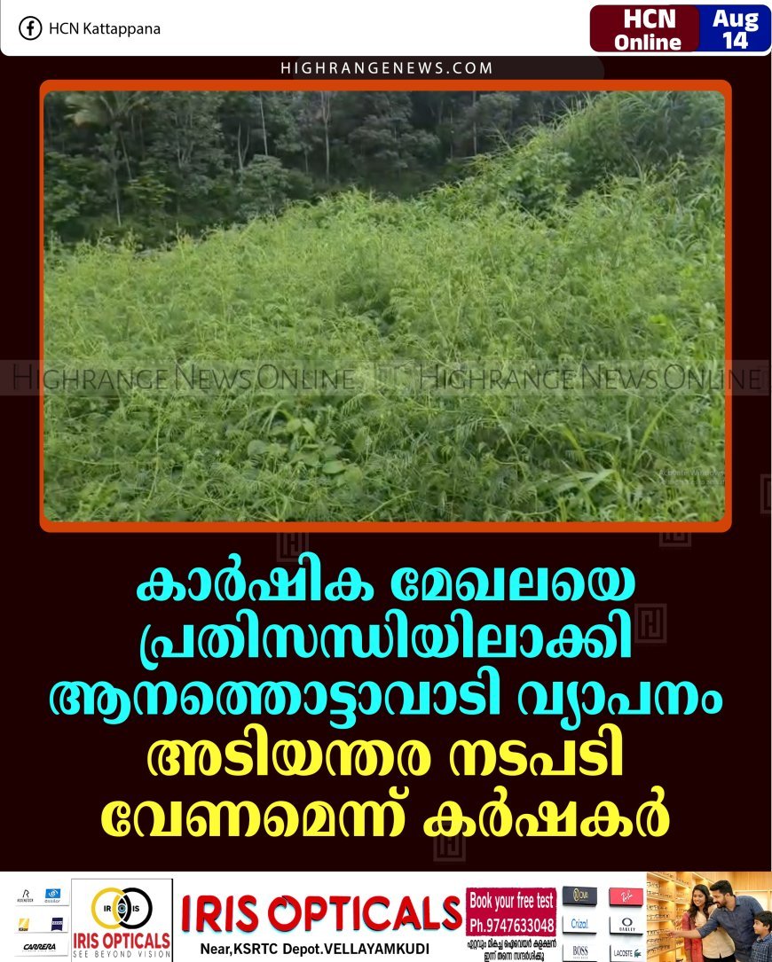 കാര്‍ഷിക മേഖലയെ പ്രതിസന്ധിയിലാക്കി ആനത്തൊട്ടാവാടി വ്യാപനം: അടിയന്തര നടപടി വേണമെന്ന് കര്‍ഷകര്‍ 