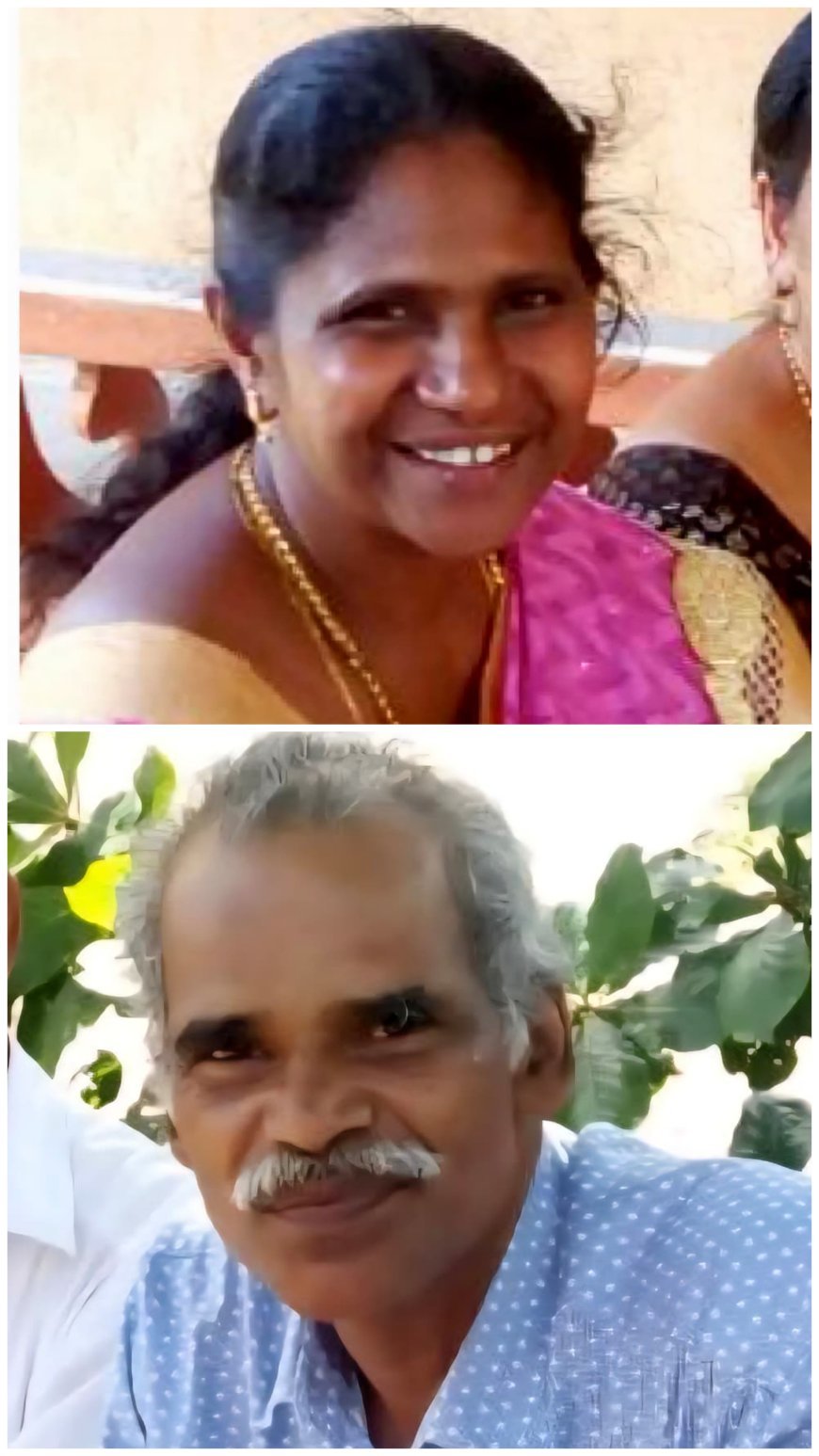 എഴുകുംവയലില്‍ മകന്‍ മാതാപിതാക്കളെ വെട്ടിക്കൊലപ്പെടുത്തി
